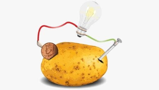 Potato Light Bulb Experiment